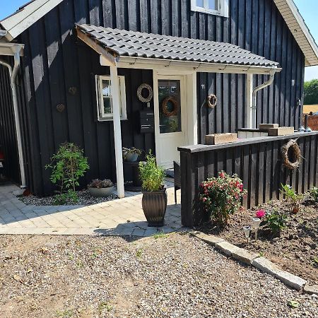 Marsvinslund bed&breakfast Viborg Exterior foto